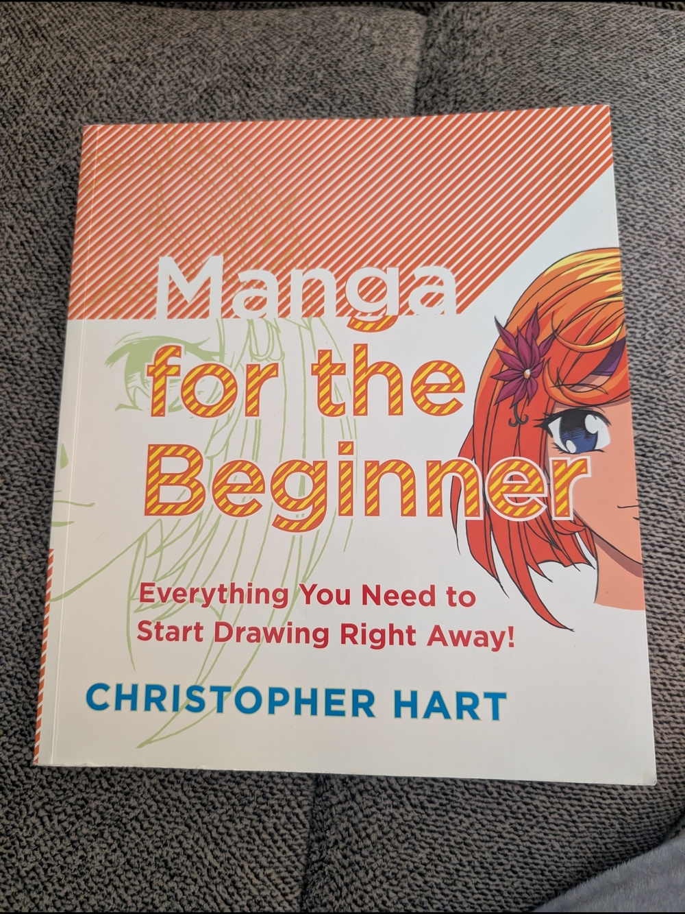 Manga for the Beginner book by Christopher Hart
